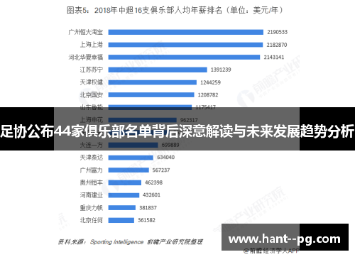 足协公布44家俱乐部名单背后深意解读与未来发展趋势分析