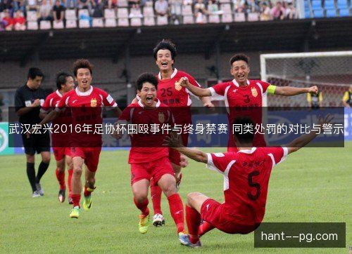 武汉宏兴2016年足协杯围殴事件与终身禁赛 同类处罚的对比与警示 武汉宏兴2016年足协杯围殴事件与终身禁赛 同类处罚的对比与警示